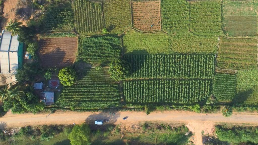 Project Sangam Strengthens Irrigation and Livelihoods in Rural Kalahandi